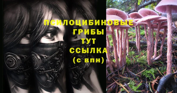 ГАЛЛЮЦИНОГЕННЫЕ ГРИБЫ Бабаево