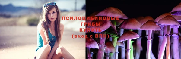 спиды Ахтубинск