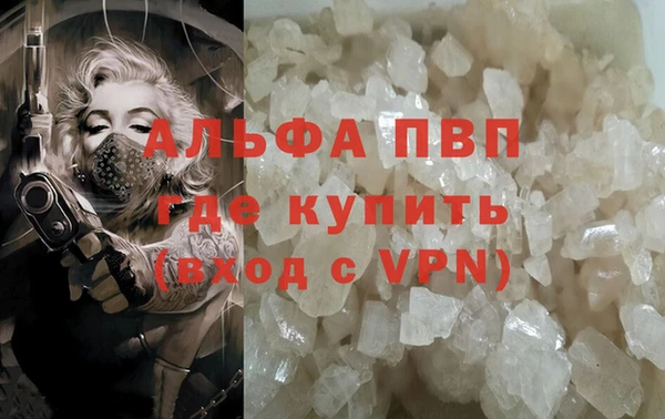 ГАЛЛЮЦИНОГЕННЫЕ ГРИБЫ Бабаево