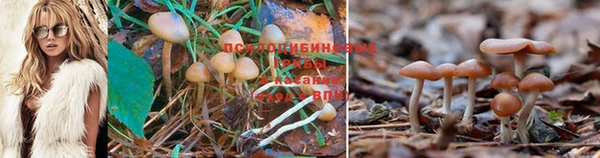 спиды Ахтубинск