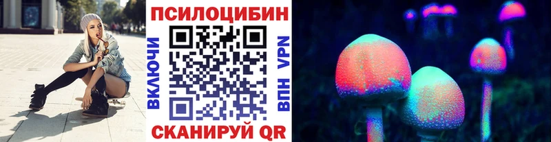 как найти наркотики  Дмитриев  MEGA   Псилоцибиновые грибы MAGIC MUSHROOMS 